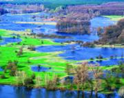 �.�������� :: ������� ��� ����������