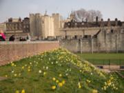  :: ������� ��� ����������