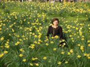  :: ������� ��� ����������