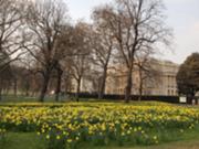  :: ������� ��� ����������