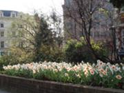  :: ������� ��� ����������