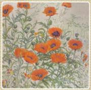 �������� �.�., 