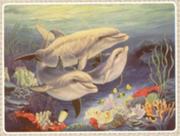 �������� �., 