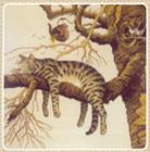 ������� �.�.,