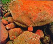  :: ������� ��� ����������