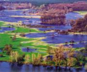  :: ������� ��� ����������